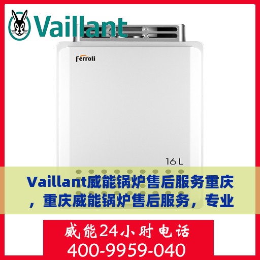 Vaillant威能锅炉售后服务重庆，重庆威能锅炉售后服务，专业团队，贴心服务