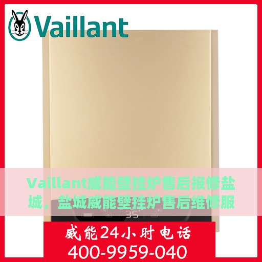 Vaillant威能壁挂炉售后报修盐城，盐城威能壁挂炉售后维修服务指南，快速报修，专业保障