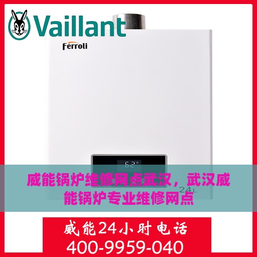 威能锅炉维修网点武汉，武汉威能锅炉专业维修网点