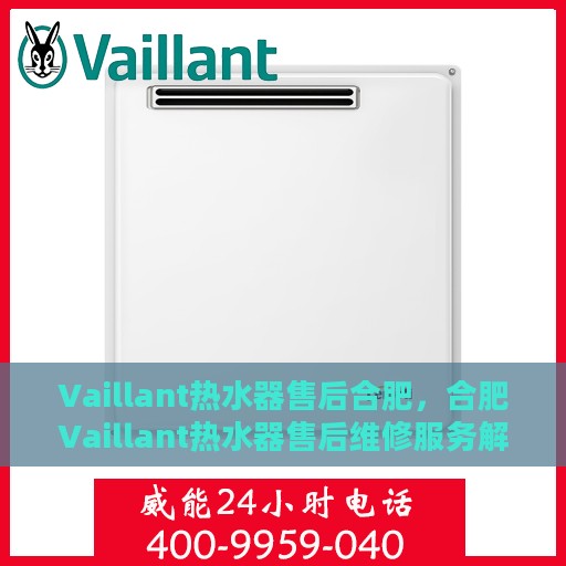 Vaillant热水器售后合肥，合肥Vaillant热水器售后维修服务解析