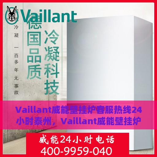 Vaillant威能壁挂炉客服热线24小时泰州，Vaillant威能壁挂炉泰州全天候客服热线，贴心服务随时在线