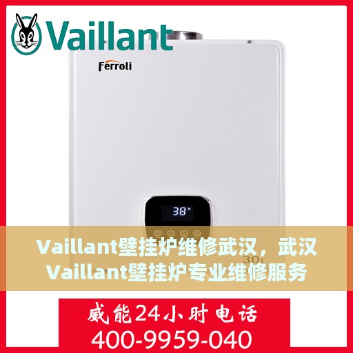 Vaillant壁挂炉维修武汉，武汉Vaillant壁挂炉专业维修服务