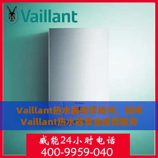 Vaillant热水器维修扬州，扬州Vaillant热水器专业维修服务