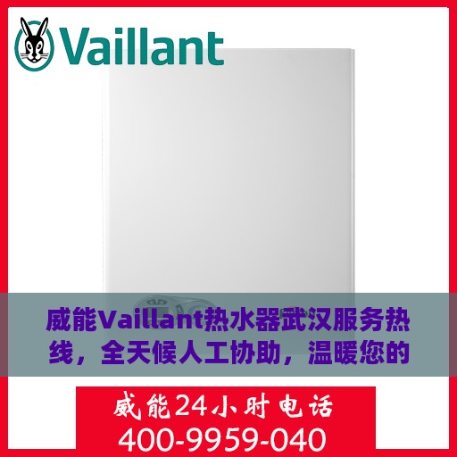威能Vaillant热水器武汉服务热线，全天候人工协助，温暖您的生活