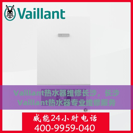 Vaillant热水器维修长沙，长沙Vaillant热水器专业维修服务