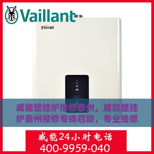 威能壁挂炉报修泰州，威能壁挂炉泰州报修专线启动，专业维修团队为您快速解决难题！