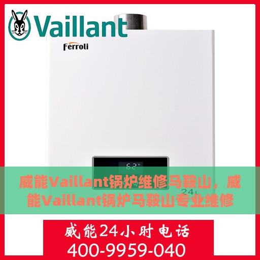 威能Vaillant锅炉维修马鞍山，威能Vaillant锅炉马鞍山专业维修服务