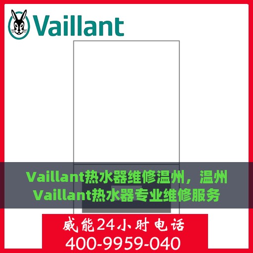Vaillant热水器维修温州，温州Vaillant热水器专业维修服务