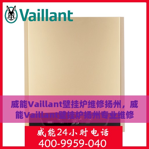威能Vaillant壁挂炉维修扬州，威能Vaillant壁挂炉扬州专业维修服务