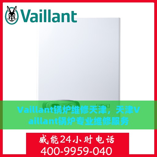 Vaillant锅炉维修天津，天津Vaillant锅炉专业维修服务