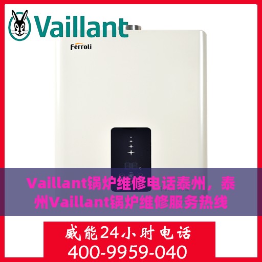 Vaillant锅炉维修电话泰州，泰州Vaillant锅炉维修服务热线