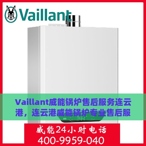 Vaillant威能锅炉售后服务连云港，连云港威能锅炉专业售后服务团队，高效响应，品质保障