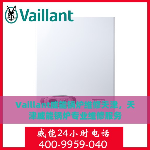 Vaillant威能锅炉维修天津，天津威能锅炉专业维修服务