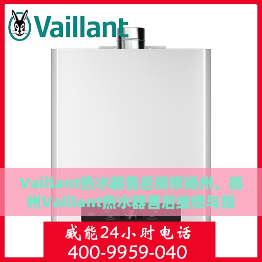 Vaillant热水器售后报修扬州，扬州Vaillant热水器售后维修与报修指南