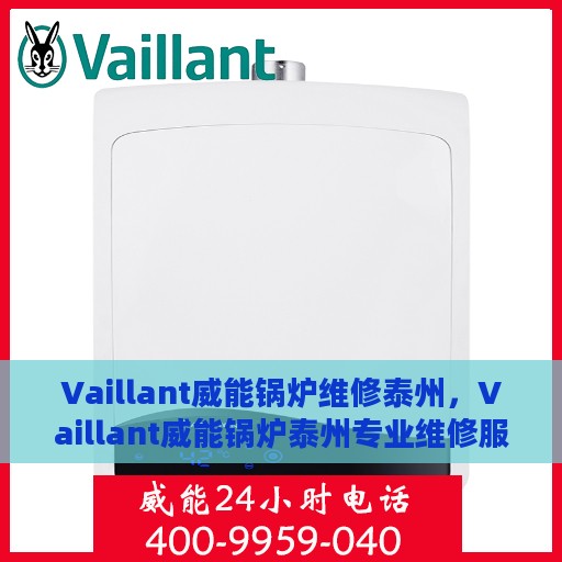 Vaillant威能锅炉维修泰州，Vaillant威能锅炉泰州专业维修服务