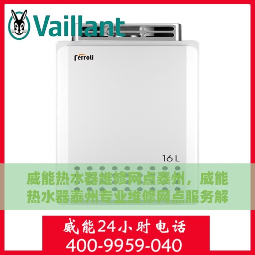 威能热水器维修网点泰州，威能热水器泰州专业维修网点服务解析