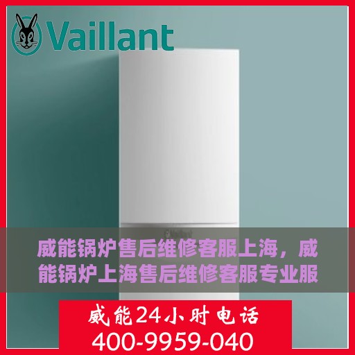 威能锅炉售后维修客服上海，威能锅炉上海售后维修客服专业服务