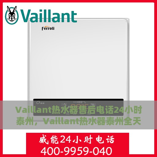 Vaillant热水器售后电话24小时泰州，Vaillant热水器泰州全天候售后热线，专业维修服务保障无忧！