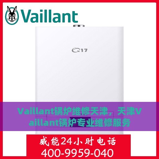Vaillant锅炉维修天津，天津Vaillant锅炉专业维修服务