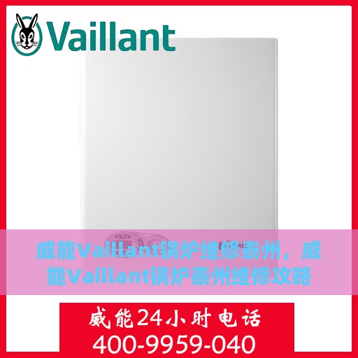 威能Vaillant锅炉维修泰州，威能Vaillant锅炉泰州维修攻略