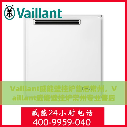 Vaillant威能壁挂炉售后常州，Vaillant威能壁挂炉常州专业售后服务指南