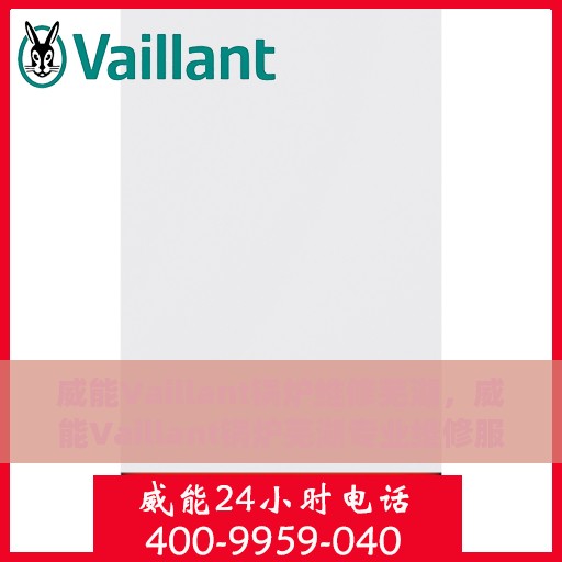 威能Vaillant锅炉维修芜湖，威能Vaillant锅炉芜湖专业维修服务