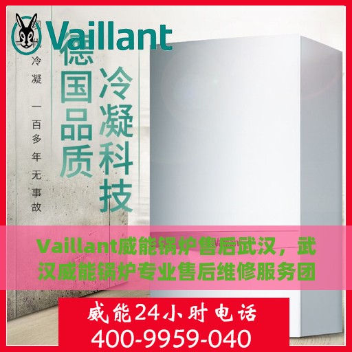 Vaillant威能锅炉售后武汉，武汉威能锅炉专业售后维修服务团队