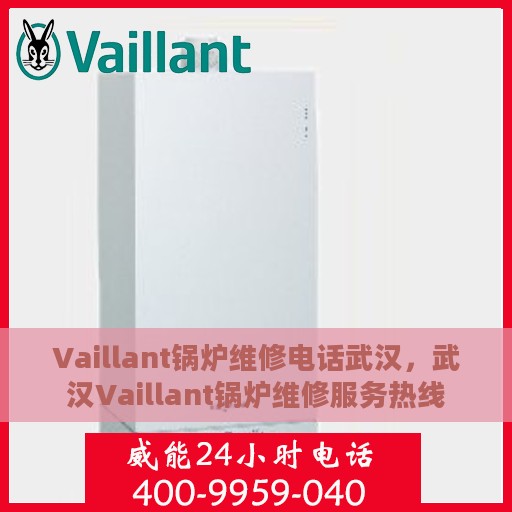 Vaillant锅炉维修电话武汉，武汉Vaillant锅炉维修服务热线
