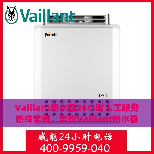 Vaillant热水器24小时人工服务热线常州，常州Vaillant热水器全天候人工服务热线指南