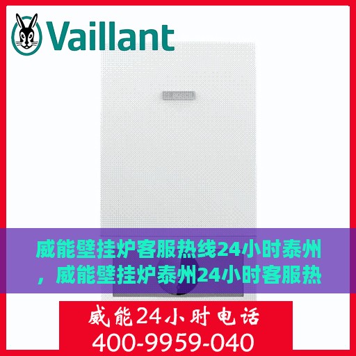 威能壁挂炉客服热线24小时泰州，威能壁挂炉泰州24小时客服热线全面服务，温暖您的每一刻