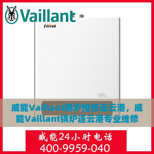 威能Vaillant锅炉维修连云港，威能Vaillant锅炉连云港专业维修服务
