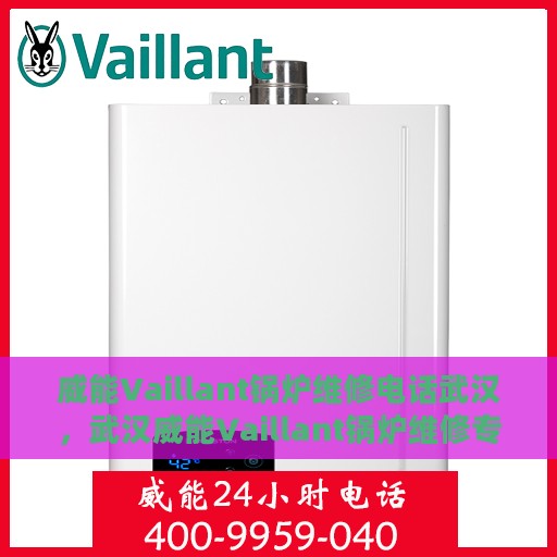 威能Vaillant锅炉维修电话武汉，武汉威能Vaillant锅炉维修专线，专业解决锅炉故障的电话热线