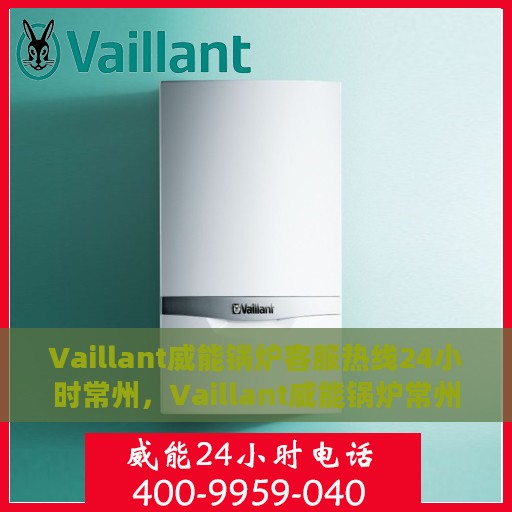 Vaillant威能锅炉客服热线24小时常州，Vaillant威能锅炉常州24小时客服热线，全天候服务暖人心