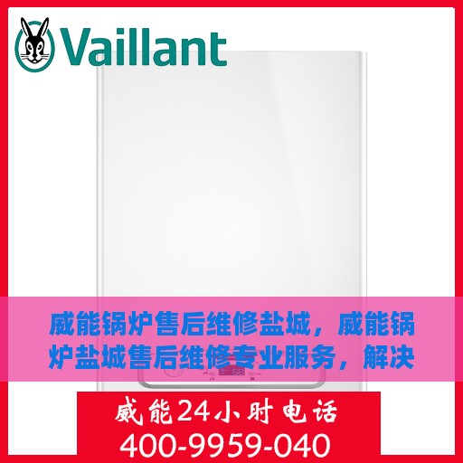 威能锅炉售后维修盐城，威能锅炉盐城售后维修专业服务，解决您的热力难题