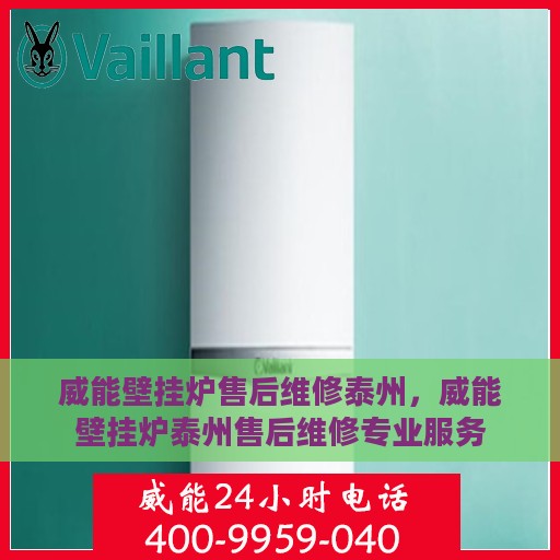 威能壁挂炉售后维修泰州，威能壁挂炉泰州售后维修专业服务