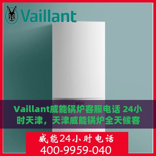 Vaillant威能锅炉客服电话 24小时天津，天津威能锅炉全天候客服热线，专业解答与快速服务支持