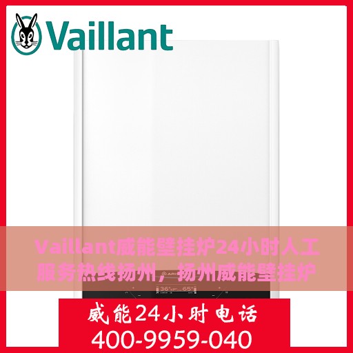 Vaillant威能壁挂炉24小时人工服务热线扬州，扬州威能壁挂炉全天候人工服务热线解析