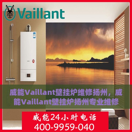 威能Vaillant壁挂炉维修扬州，威能Vaillant壁挂炉扬州专业维修服务
