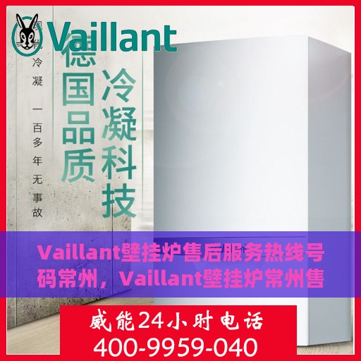 Vaillant壁挂炉售后服务热线号码常州，Vaillant壁挂炉常州售后服务热线及维修支持全攻略