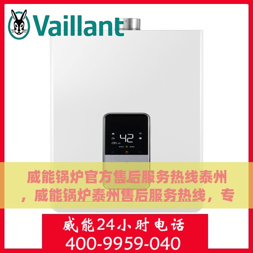 威能锅炉官方售后服务热线泰州，威能锅炉泰州售后服务热线，专业团队为您提供贴心服务