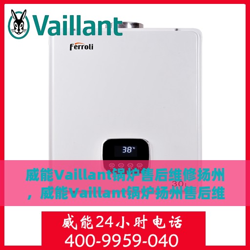 威能Vaillant锅炉售后维修扬州，威能Vaillant锅炉扬州售后维修专业服务