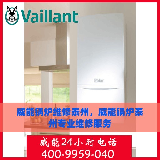 威能锅炉维修泰州，威能锅炉泰州专业维修服务