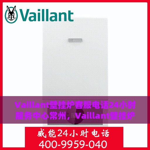 Vaillant壁挂炉客服电话24小时服务中心常州，Vaillant壁挂炉常州服务中心，全天候客服热线，专业维修保障您的温暖时刻