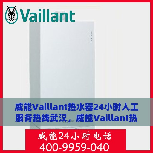 威能Vaillant热水器24小时人工服务热线武汉，威能Vaillant热水器武汉服务热线，全天候人工协助，温暖您的生活